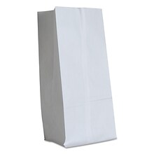 Duro Recyclable No Handle Paper Bag, White Kraft, 500/Bundle (BAG GW16-500)