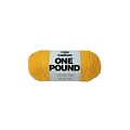 Spinrite® Caron® One Pound™ Acrylic Yarn, Sunflower