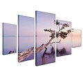Trademark Moises Levy Water Tree XV Gallery-Wrapped Canvas Art Set, 3.6 x 2.8