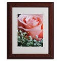 Trademark Monica Fleet Snug Blossom Art, White Matte W/Wood Frame, 11 x 14