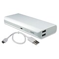 QVS® 6000mAh Dual USB Battery Power Bank Kit For Smartphones/Tablets; White