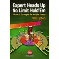 Expert Heads Up No Limit Holdem Play, Volume 2: Strategies for Multiple Streets