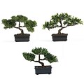 Nearly Natural 4121 12 Bonsai Set of 3 Plant in Pot