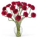 Nearly Natural 1086-RD Gerber Daisy Floral Arrangements, Red