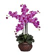 Nearly Natural 1211-OR Phalaenopsis with Vase Floral Arrangements; Orchid