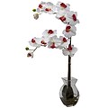 Nearly Natural 1295-WH Phalaenopsis Orchid with Vase Arrangements, White