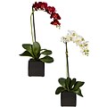 Nearly Natural 4757 Phaleanopsis Orchid Set of 2, Assorted
