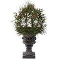 Nearly Natural 4956 Pond Cypress Plant in Pot