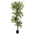Nearly Natural 5345 6 Variegated Ficus Tree in Pot