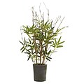 Nearly Natural 5360 27 Bamboo Tree in Pot