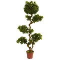 Nearly Natural 5393 5 Pittispourm UV Resistant Plant in Pot