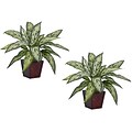 Nearly Natural 6694 Silver Queen Set of 2 Plant in Pot