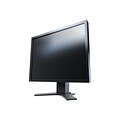 EIZO INC S2133-BK 21.3 Monitor