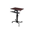 Ergotron® 24-280-927 WorkFit-PD Sit-Stand Desk