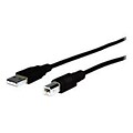 COMPREHENSIVE CABLE® 10 USB 2.0 A Male To B Male Cable; Black