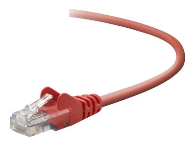 Belkin Cat5e Patch Cable25