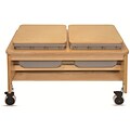 Whitney Plus 23 1/2 x 43 1/2 x 31 Laminate 2 Tub Sand and Water Table, Maple