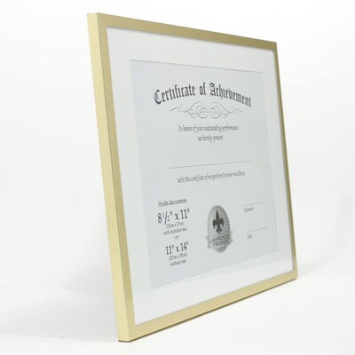 Lawrence Frames 240211 Gold Aluminum 14.25" x 11.25" Document Frame