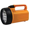 Dorcy® 55 Lumens LED Lantern