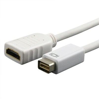 Insten 257571 4.8 Mini DVI to HDMI Adapter Cable, White