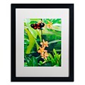 Trademark Kurt Shaffer Hecale Longwing on Orchid Art, White Matte With Black Frame, 16 x 20