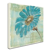 Trademark Chris Paschke Spa Daisies II Gallery-Wrapped Canvas Art, 18 x 18