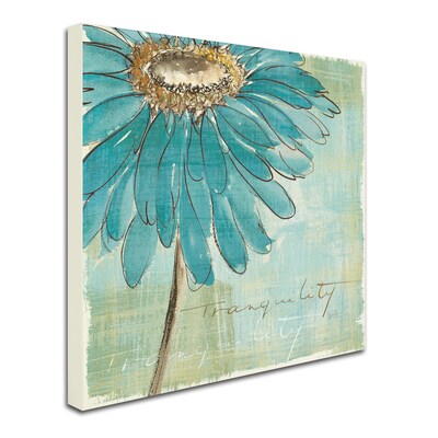 Trademark Chris Paschke "Spa Daisies III" Gallery-Wrapped Canvas Art, 24" x 24"