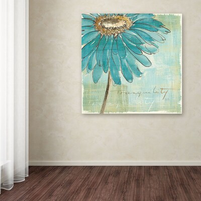 Trademark Chris Paschke "Spa Daisies III" Gallery-Wrapped Canvas Art, 24" x 24"