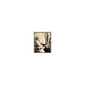 Penny Black® 3 1/2 x 4 1/4 Wood Mounted Rubber Stamp; Enchanted Forest
