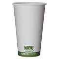 ECO PRODUCTS World Art Hot Drink Cups, 16 Oz.
