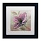 Trademark Fine Art WAP0107-B1111MF Plum Floral III by Emily Adams 11 x 11 Framed Art, WHT MTD