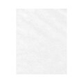 Lux Cardstock 8.5 x 11 inch, Clear Translucent 500/Pack
