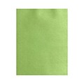 Lux Paper 13 x 19 inch, Fairway Metallic 250/Pack