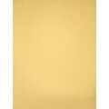 Lux Paper 8.5 x 11 inch 80 lbs. Gold Metallic 500/Pack
