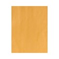 Lux Cardstock 13 x 19 inch Ochre 250/Pack