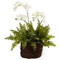 Nearly Natural 4834 Phalaenopsis & Fern with Birdsnest Planter Multi Color