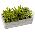 Nearly Natural 4841 Succulent Garden with Concrete Planter 6.5 x 12.8 inch
