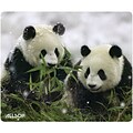 Allsop Natures Smart Panda Mouse Pad, Mulitcolored (29879)