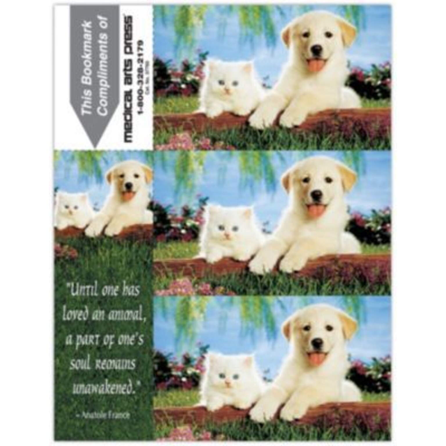 Photo Image 3-Up Laser Postcards with Bookmark, Dog/Cat Fence, 150 Postcards/Pack