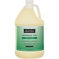 Bon Vital Naturale Massage Gel, Unscented, 128 oz. Bottle (BVNATG1G)