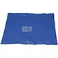 Relief Pak® Reusable Cold Packs, Standard, 11x14"