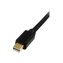 10 Mini DSPRT to DSPRT 1.2 Adapter Cable