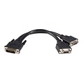 8 DMS-59 to Dual F VGA Video Cable