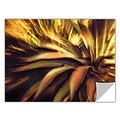 ArtWall Agave Puesta Art Appeelz Removable Wall Art Graphic 36 x 48 (0uhl021a3648p)