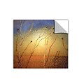 ArtWall Texas Sand Storm Art Appeelz Removable Wall Art Graphic 24 x 24 (0uhl039a2424p)