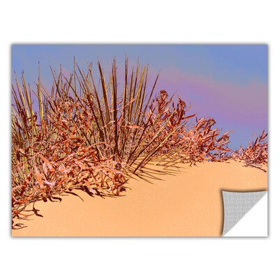 ArtWall Coral Dunes Noon Art Appeelz Removable Wall Art Graphic 36 x 48 (0uhl129a3648p)