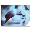 ArtWall Swan Impression Art Appeelz Removable Wall Art Graphic 36 x 48 (0uhl171a3648p)