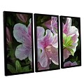 ArtWall Kissed By Sunlight 3-Piece Canvas Set 36 x 54 Floater Framed (0goa008c3654f)