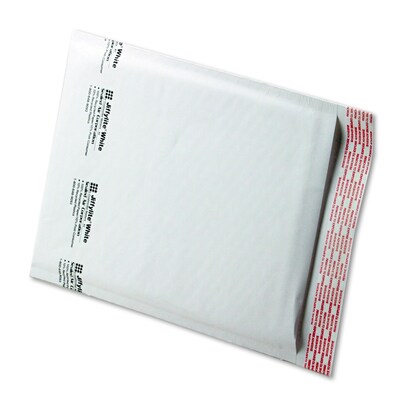 8-1/2 x 12 Self-Seal Mailer, Side Seam, #2, 100/Carton (100017742)