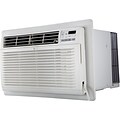 LG Energy Star 11,500 BTU 115V Thru-the-Wall Air Conditioner with Remote Control, White (LT1216CER)